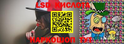 шишки Будённовск