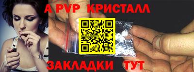 шишки Будённовск