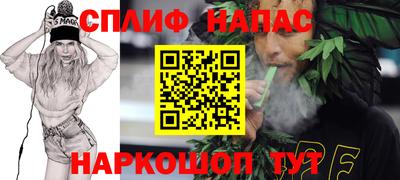 шишки Будённовск