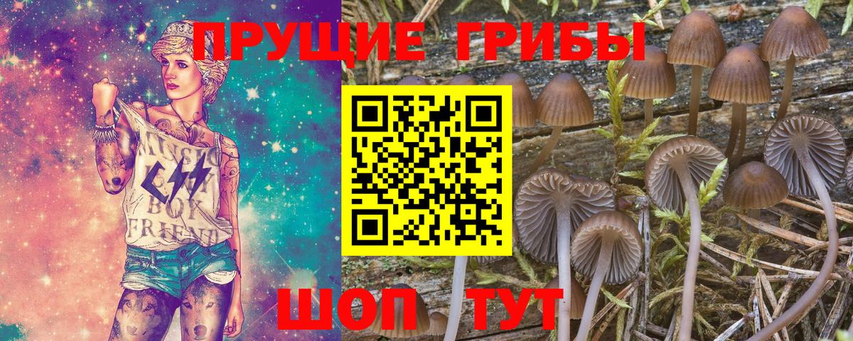 Галлюциногенные грибы ЛСД Ухта