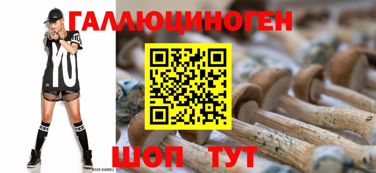Галлюциногенные грибы Cubensis  Вход с VPN  Ухта 